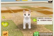 娱乐吃瓜君罗小猫,娱乐吃瓜界的“猫界网红”